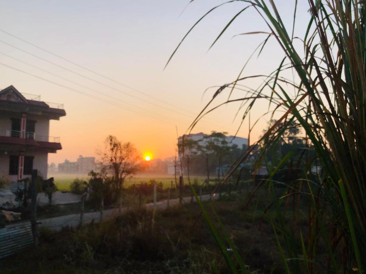 Hotel Happy Land Chitwan Buitenkant foto