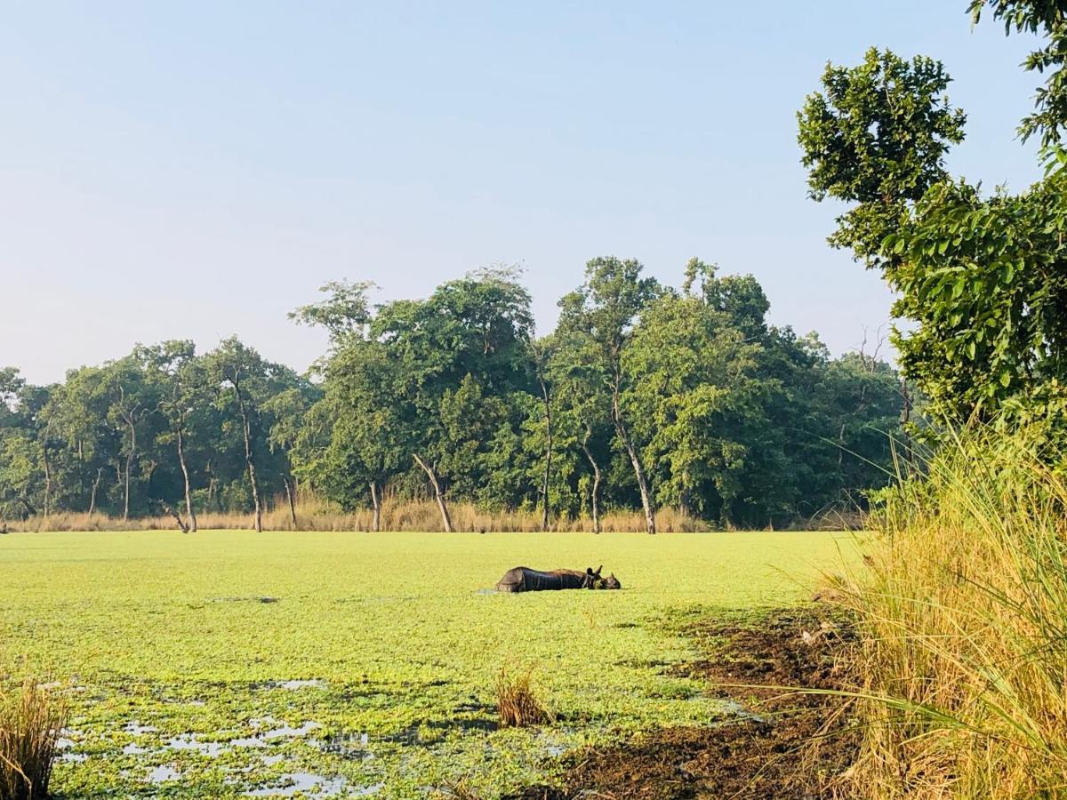 Hotel Happy Land Chitwan Buitenkant foto