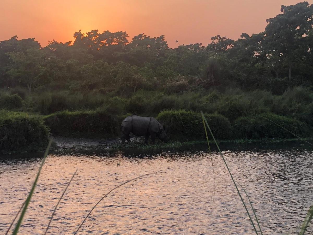 Hotel Happy Land Chitwan Buitenkant foto